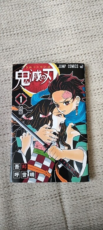 Demon Slayer 1.cilt