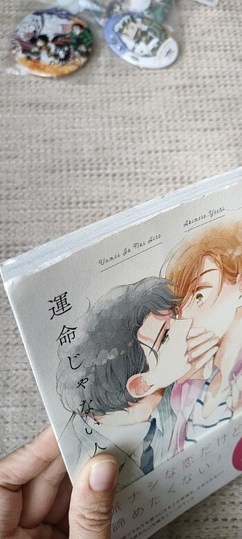 Unmei Jyanai Hito Yaoi/BL manga