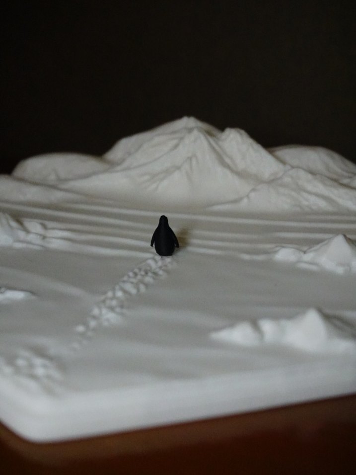 Beyaz Dağ Temalı nihilist penguen - Görsel 3