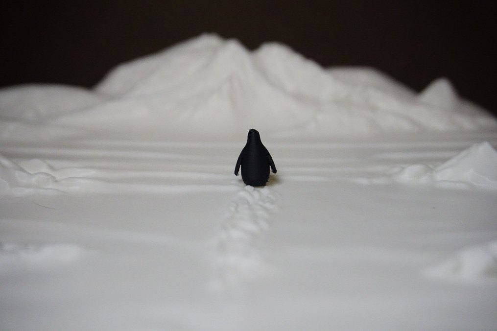 Beyaz Dağ Temalı nihilist penguen - Görsel 2