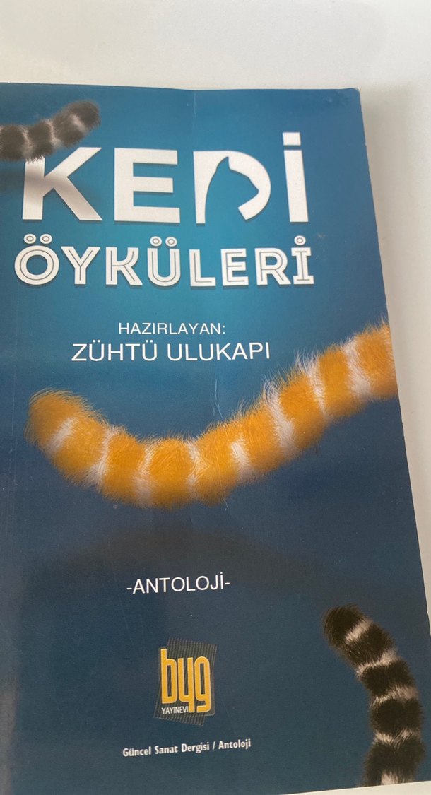 Kedi Öyküleri - Zühtü Ulukapı Hazırladı - Görsel 3