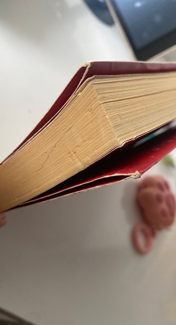 Kar Tanelerinin Bir Bildiği Var - Debbie Macomber - Görsel 3