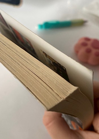 Atatürk, Babam ve Ben - Orhan Karaveli - Görsel 3