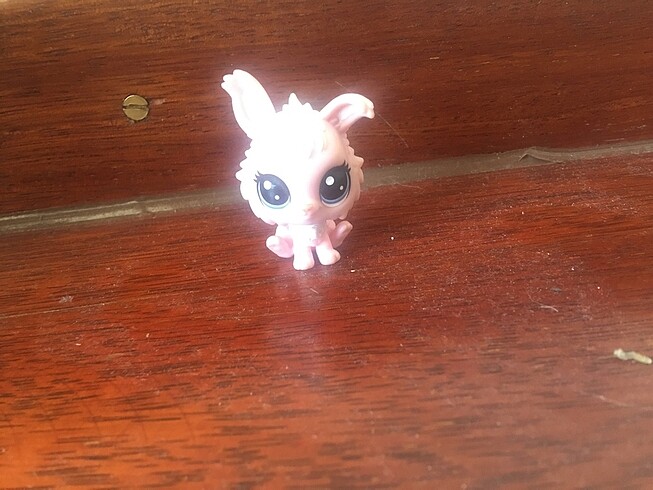 LPS tavşan miniş