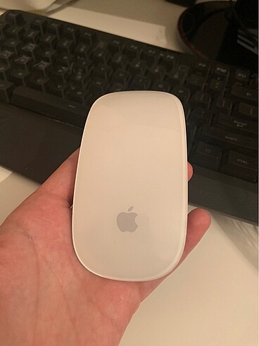 apple magic mouse