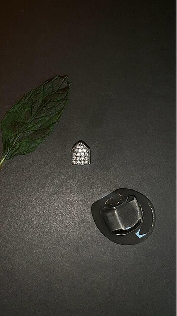 Beden Aesthetic Grillz y2k Charm