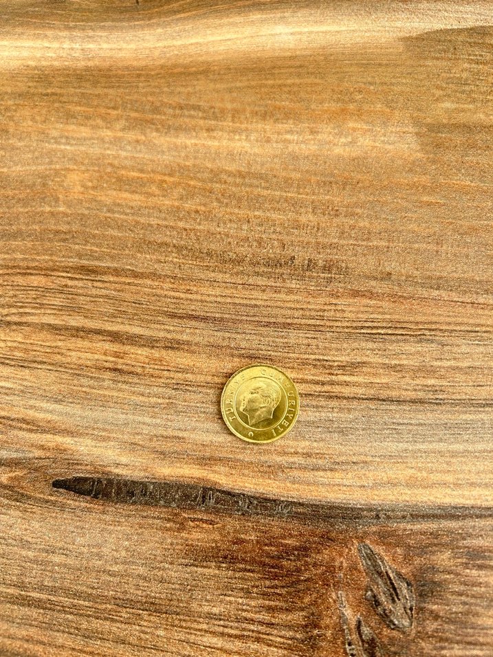 Parlak Altın Renkli 25 Kuruş Hatıra Parası - Görsel 2