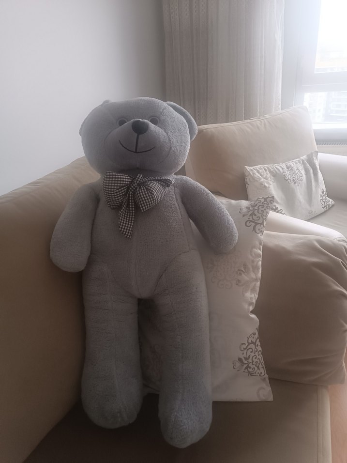 Gri Peluş Ayı Oyuncak - Görsel 5