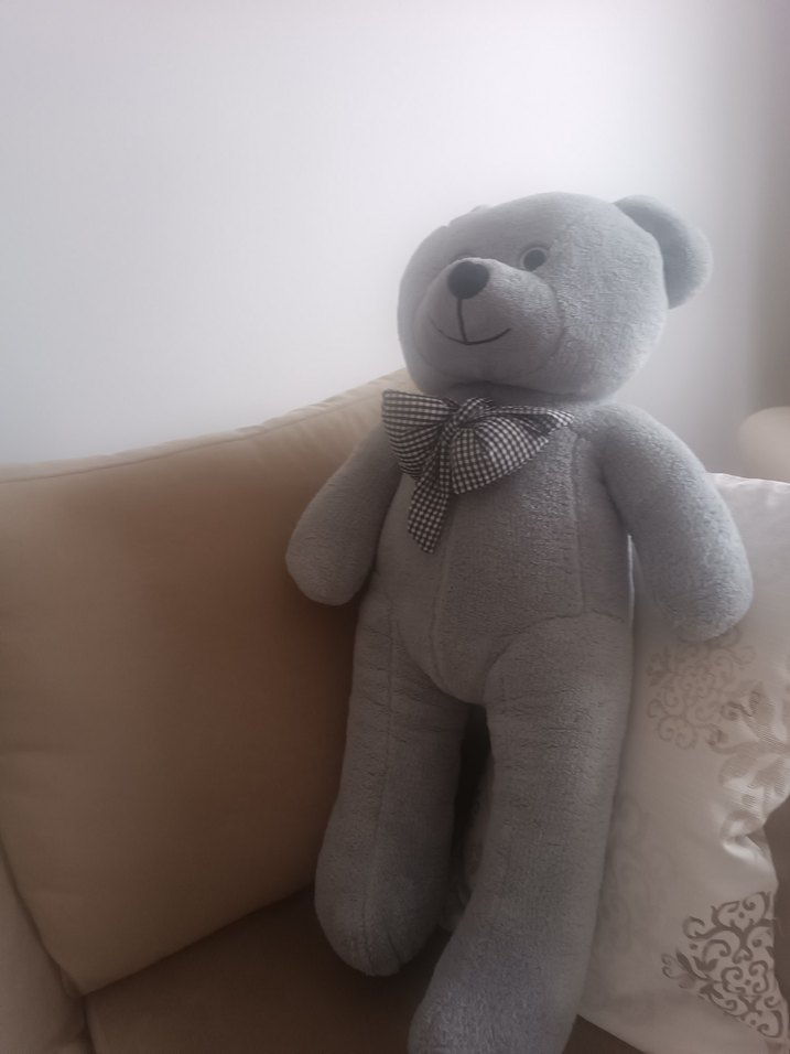 Gri Peluş Ayı Oyuncak - Görsel 4