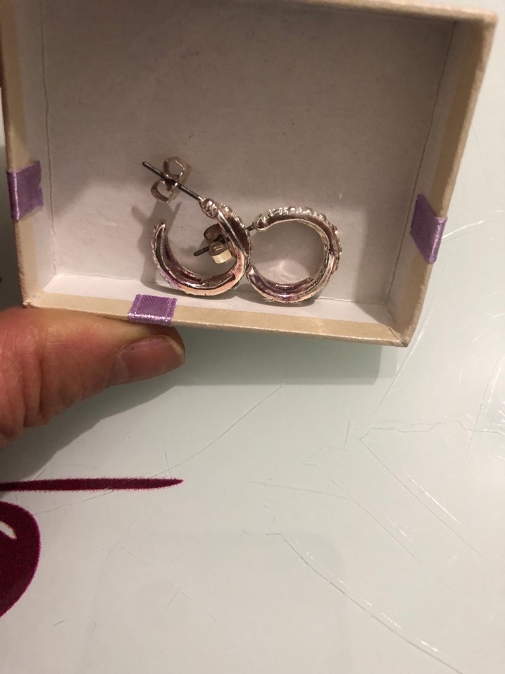 Mini Parlak Bej Yılan Desenli Küpe - Görsel 4