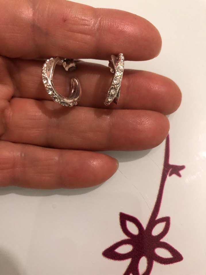 Mini Parlak Bej Yılan Desenli Küpe - Görsel 2