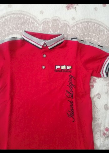 Erkek Kırmızı Kısa Kollu Polo Yaka Tişört - Görsel 2