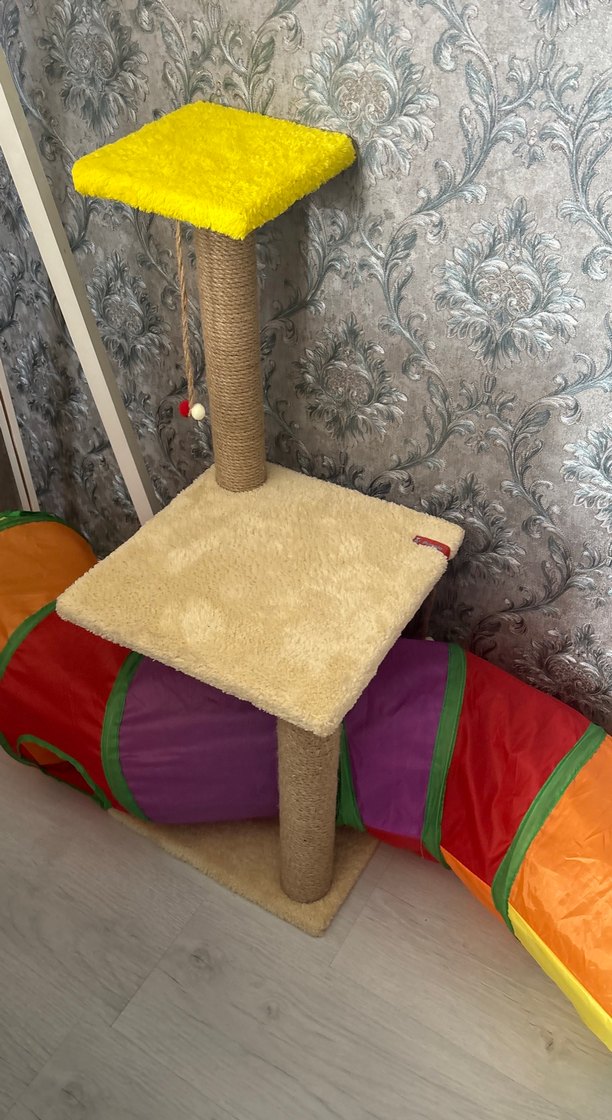 Renkli Kedi Tırmalama ve Oyun İstasyonu - Görsel 3