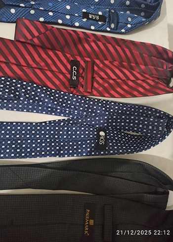 Sarar Erkek Çok Renkli İş Kravatları - Görsel 4