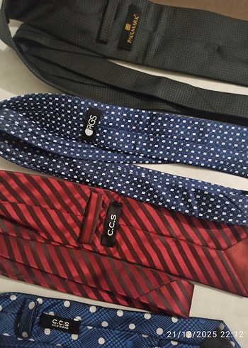 Sarar Erkek Çok Renkli İş Kravatları - Görsel 3