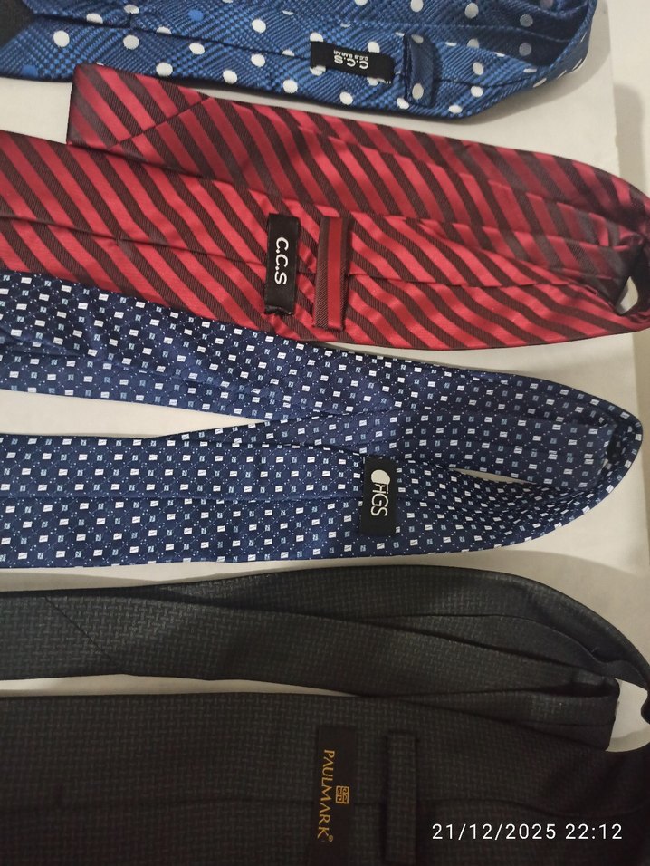 Sarar Erkek Çok Renkli İş Kravatları - Görsel 4