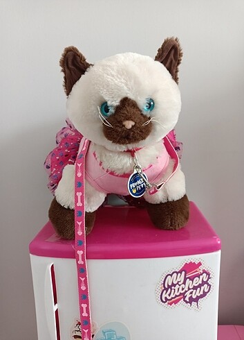 Build a bear kedi