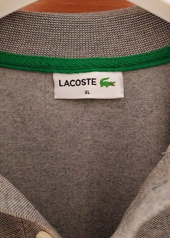 erkek kısa kollu tişört - Görsel 2