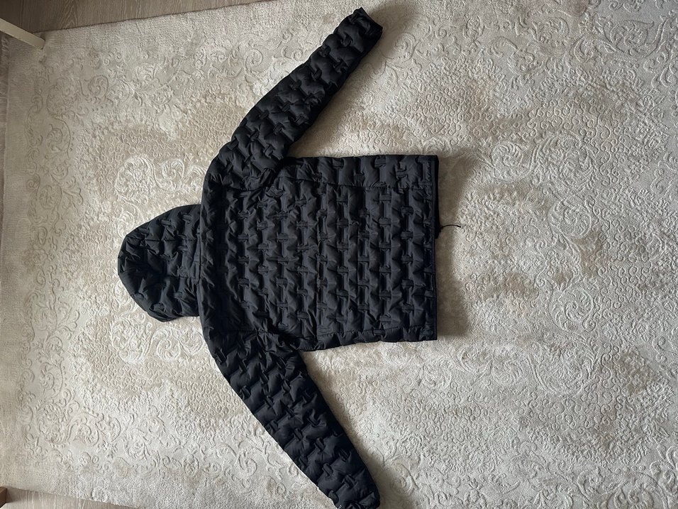 Delta Ridge II Down Kapüşonlu Erkek Kaz Tüyü Mont - Görsel 2