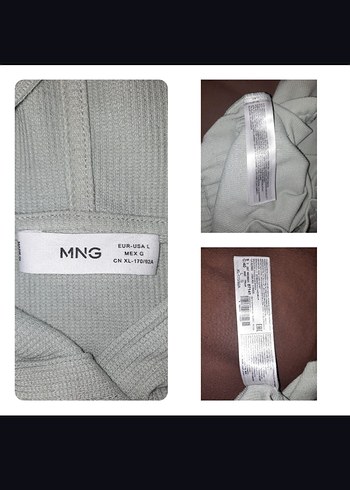 l Beden çeşitli Renk mango Kısa Kollu açık yeşil Kapüşonlu Sweatshirt