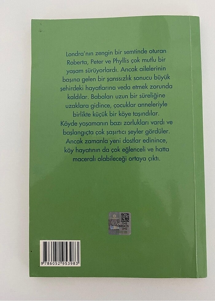 Demir Yolu Çocukları - Edith NESBIT - Görsel 2
