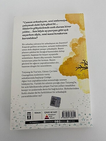 Canım Arkadaşım -Özgür BALPINAR - Görsel 2