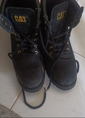 38 Beden Orginal cat