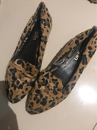 Leopar BABET
