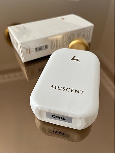 Muscent C005 Glosier You