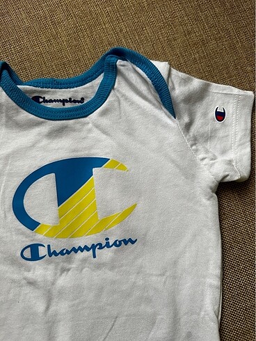 Chicco Champion Bebek Zıbın