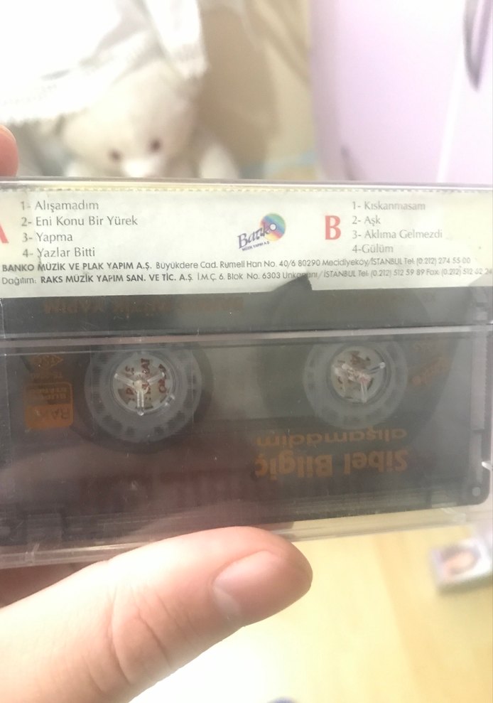 Sibel Bilgiç - Alışamadım Kaset - Görsel 2