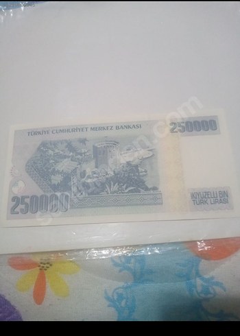 250000 Türk Lirası - Görsel 2