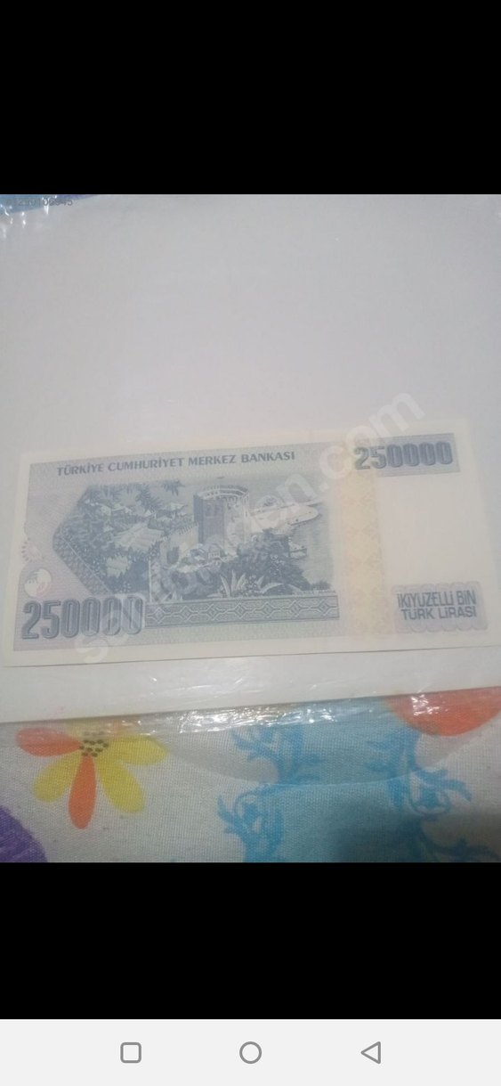250000 Türk Lirası - Görsel 2