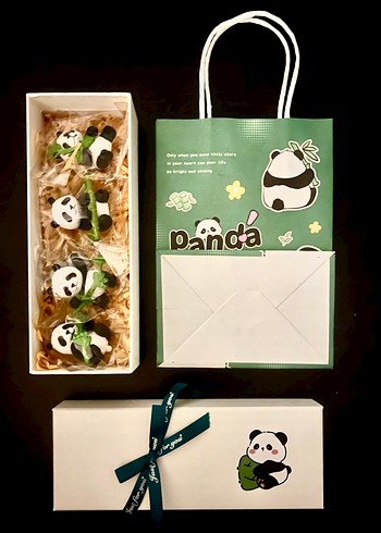 Panda magnet kutulu hediye seti - Görsel 2