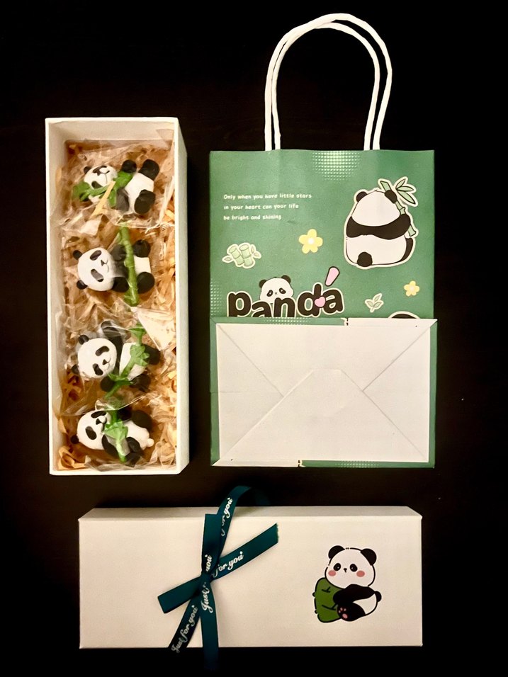 Panda magnet kutulu hediye seti - Görsel 2