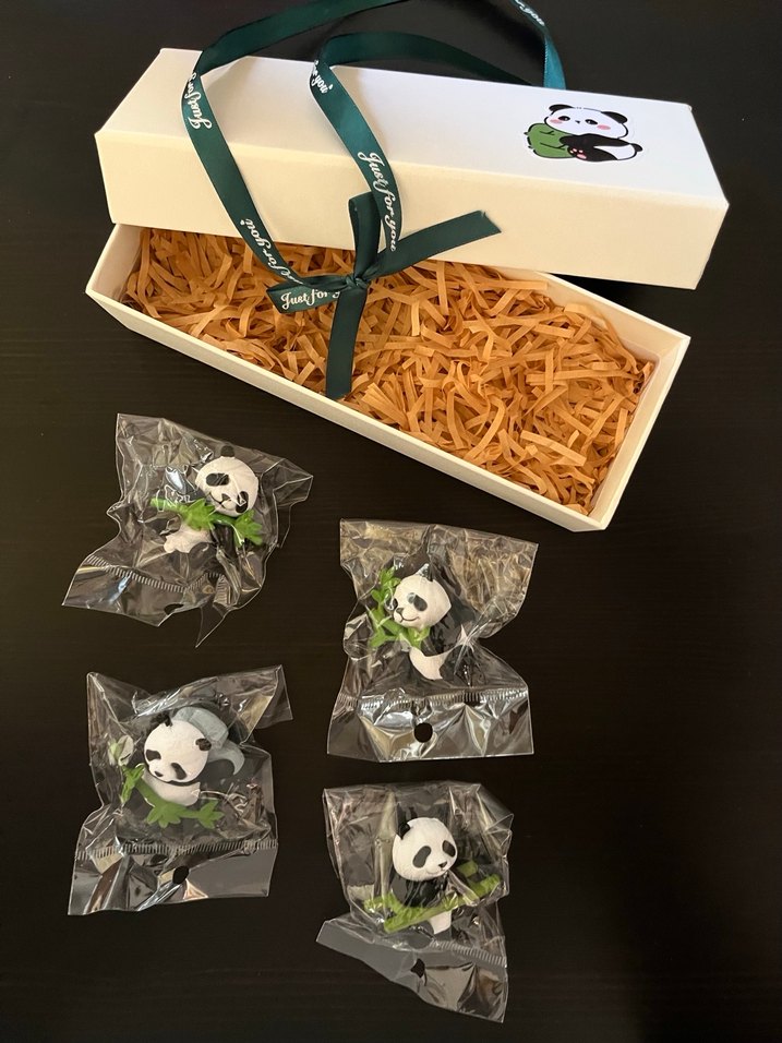 Panda magnet kutulu hediye seti - Görsel 3