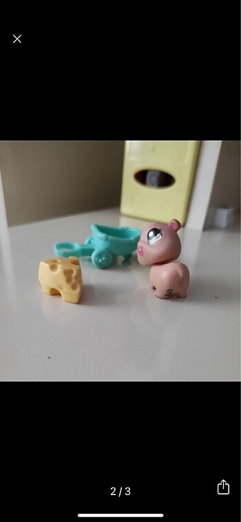  Hamster miniş
