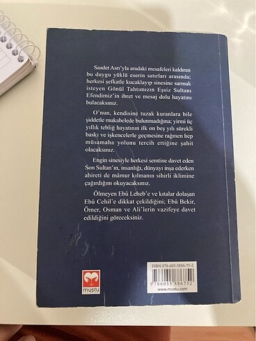 Beden Renk Reşit haylamaz