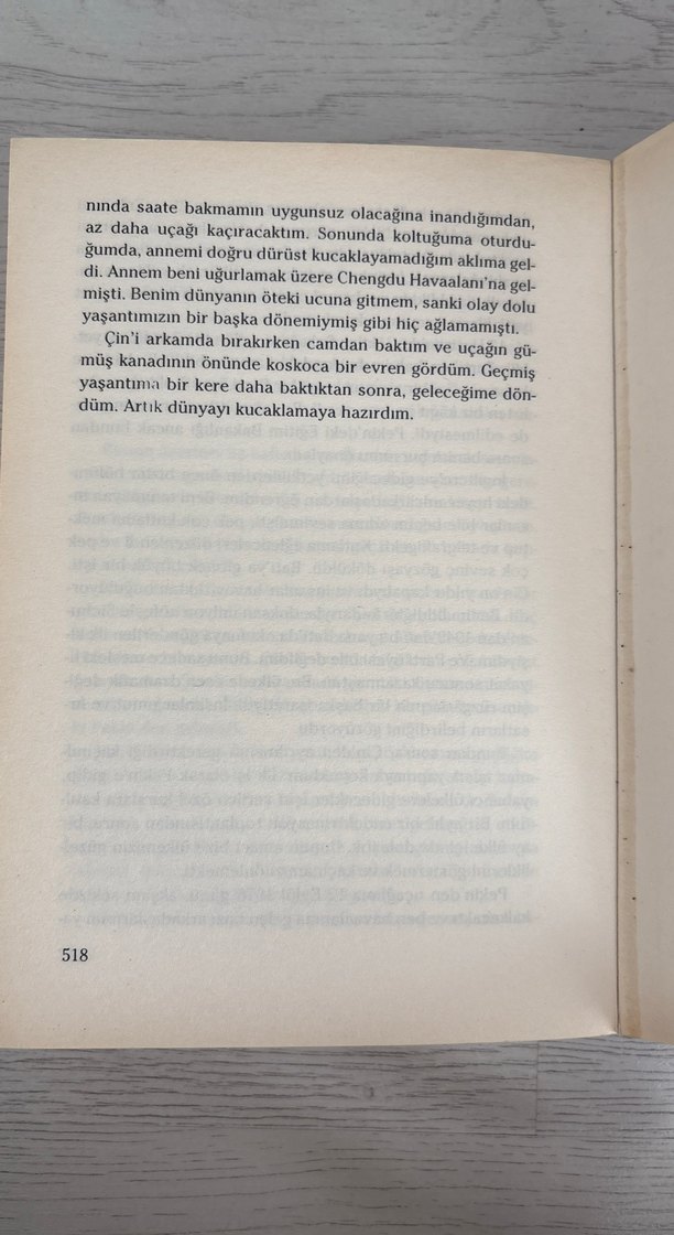 Yaban Kuğuları - Jung Chang - Görsel 3