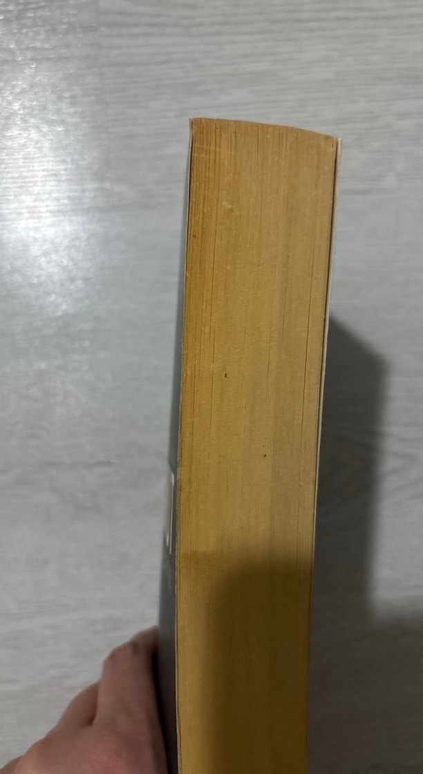 Fedailerin Kalesi Alamut - Wladimir Bartol - Görsel 3