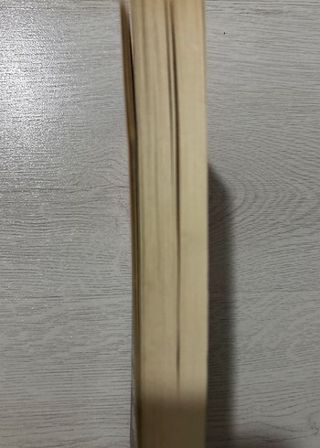 Abdülhamid'in Kurtlarla Dansı - Mustafa Armağan - Görsel 2