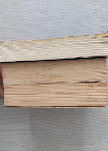 Ayşe Kulin Roman Seti - Sevdalinka, Adı Aylin, Veda - Görsel 3