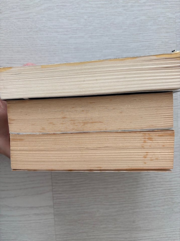 Ayşe Kulin Roman Seti - Sevdalinka, Adı Aylin, Veda - Görsel 3