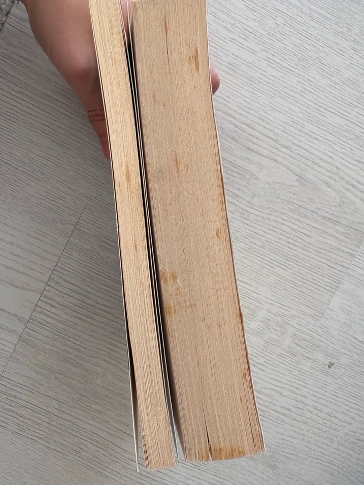 Ayşe Kulin - Umut-Foto sabah resimleri - Görsel 3