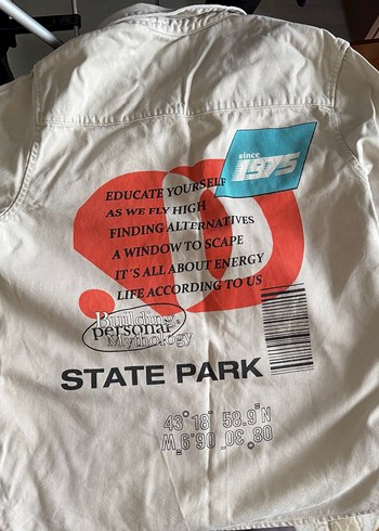 Gri Rahat Kesim Keten Erkek sırt baskılı Gömlek ceket - Görsel 2