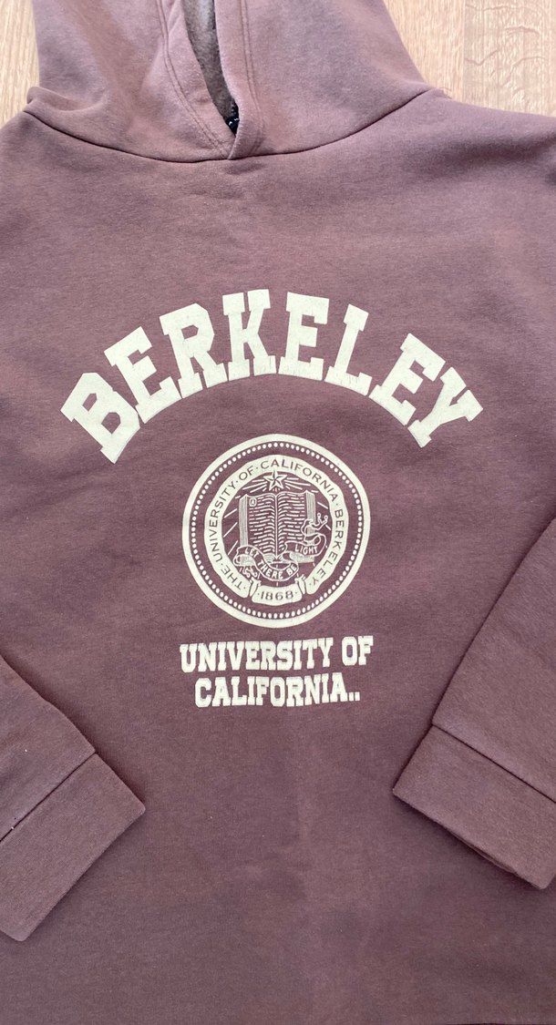 Kahverengi Kapüşonlu Berkeley Sweatshirt - Görsel 2