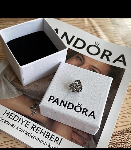 Pandora charm
