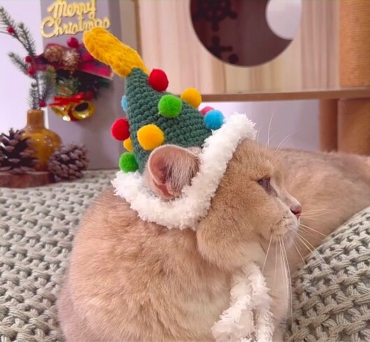 Beden Yılbaşı temalı kedi şapkası