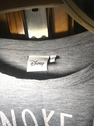 Walt Disney World disney oversize