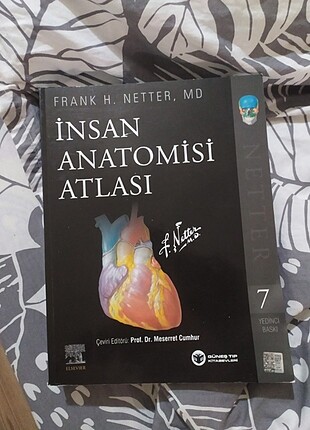 diğer